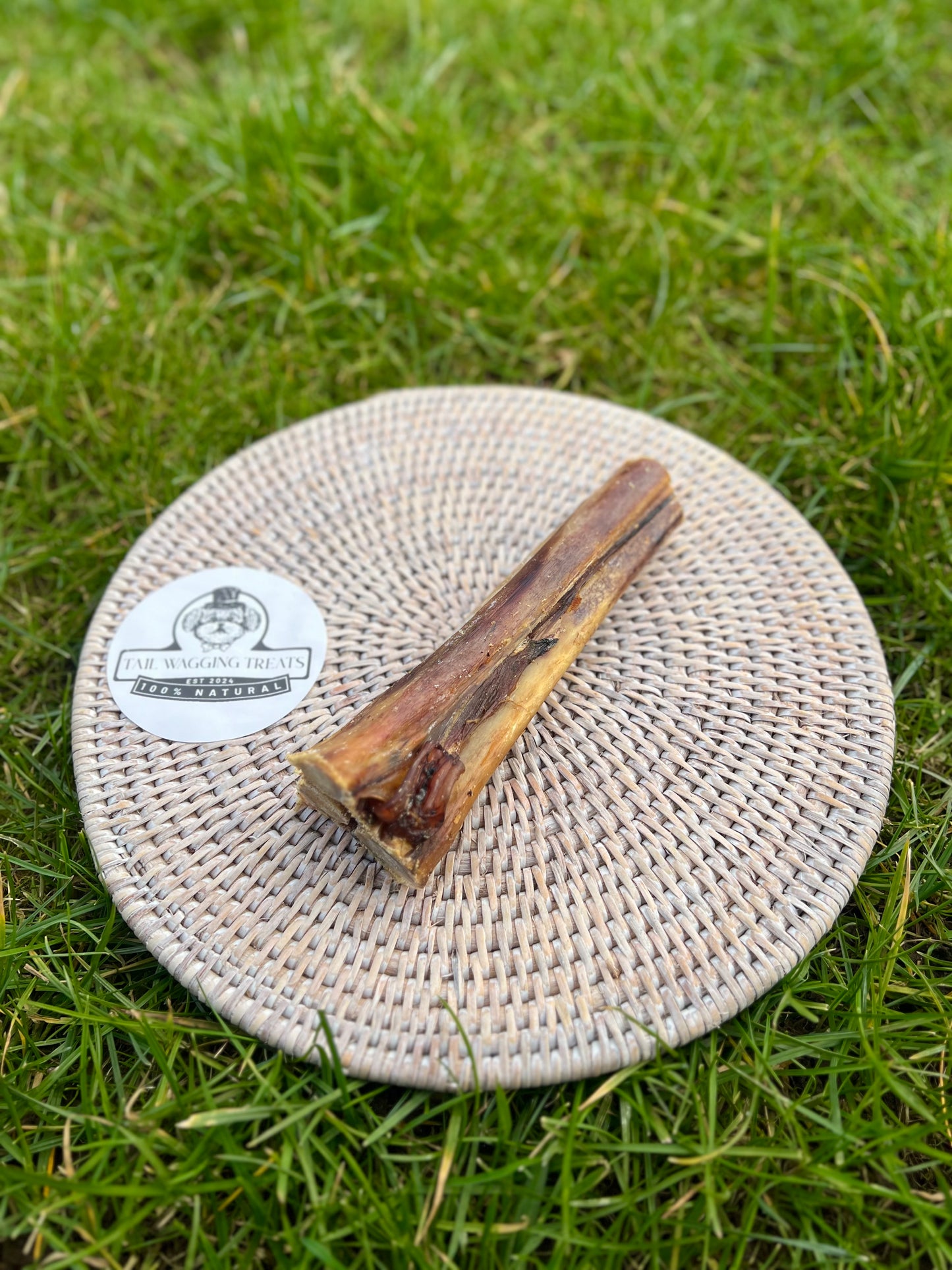 Ostrich Marrow Bone