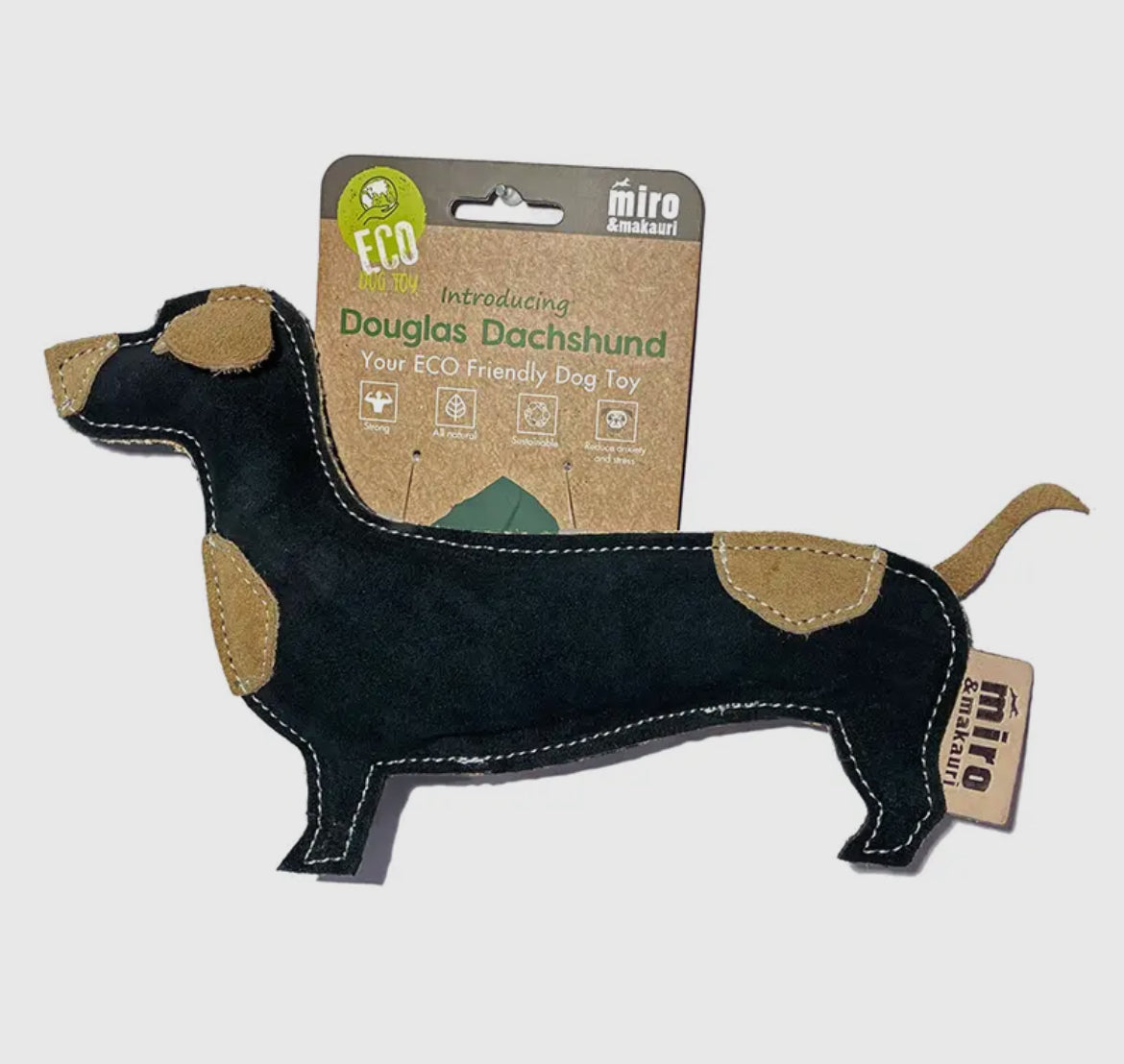 Douglas Dachshund