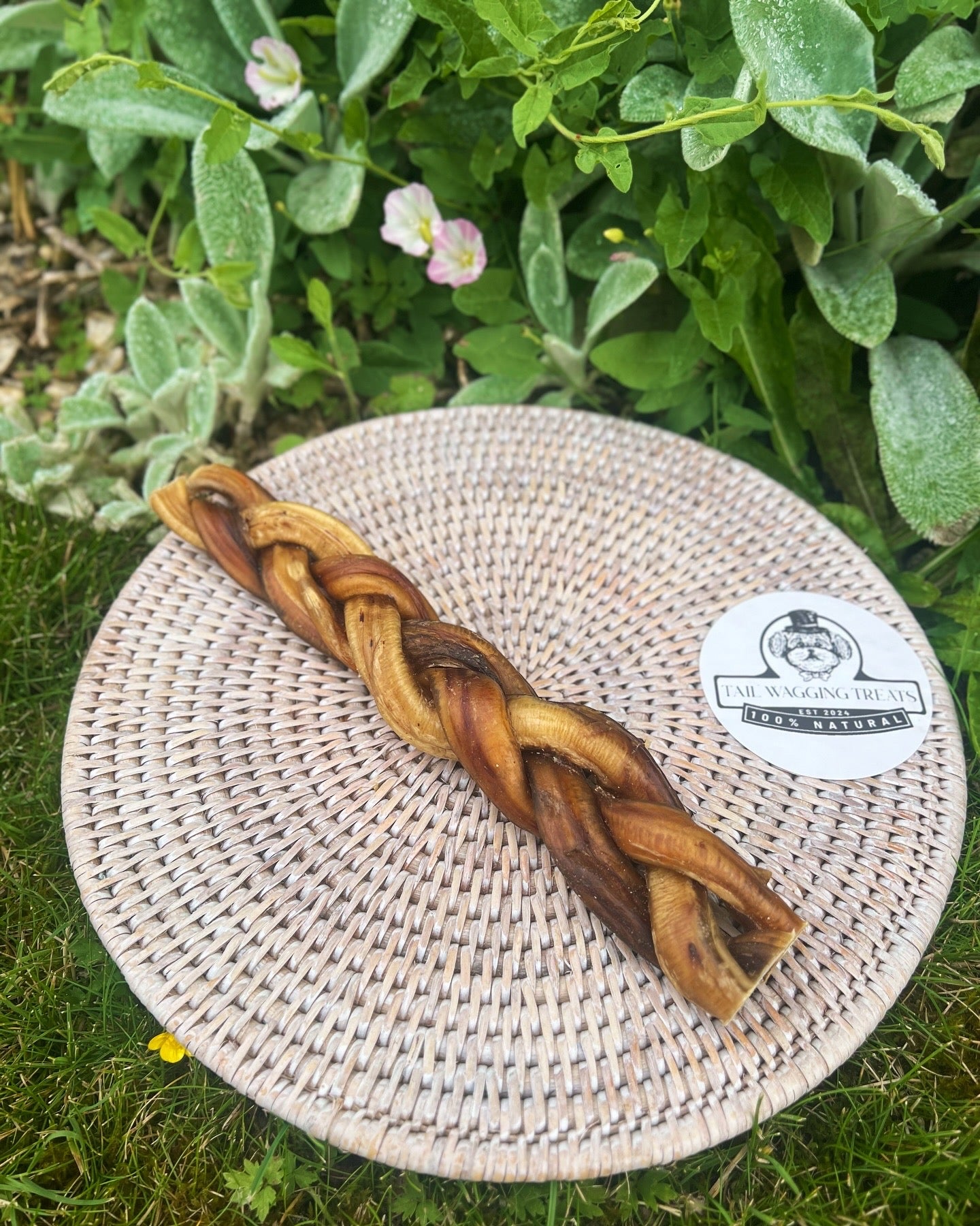 Braided Pizzles 24cm