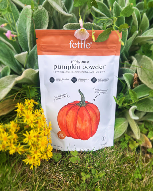 Pure Pumpkin Powder 250g